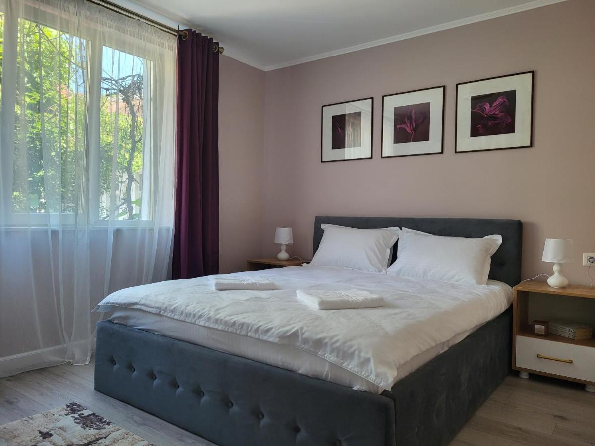 Pandora Central Apartment Cluj-Napoca Luaran gambar